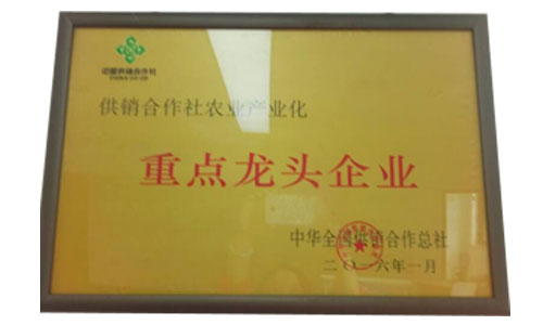 沉点龙头企业